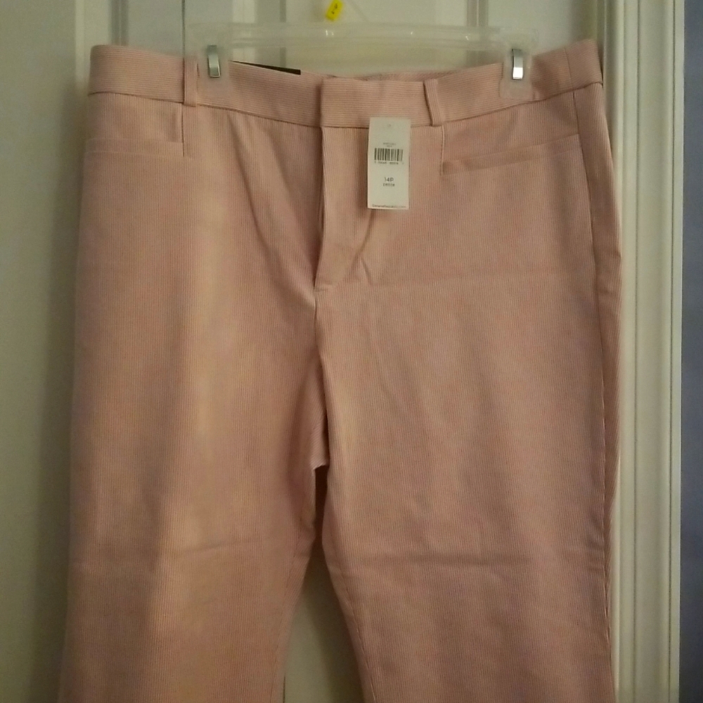 Banana Republic Modern Sloan Dress Pant Trousers